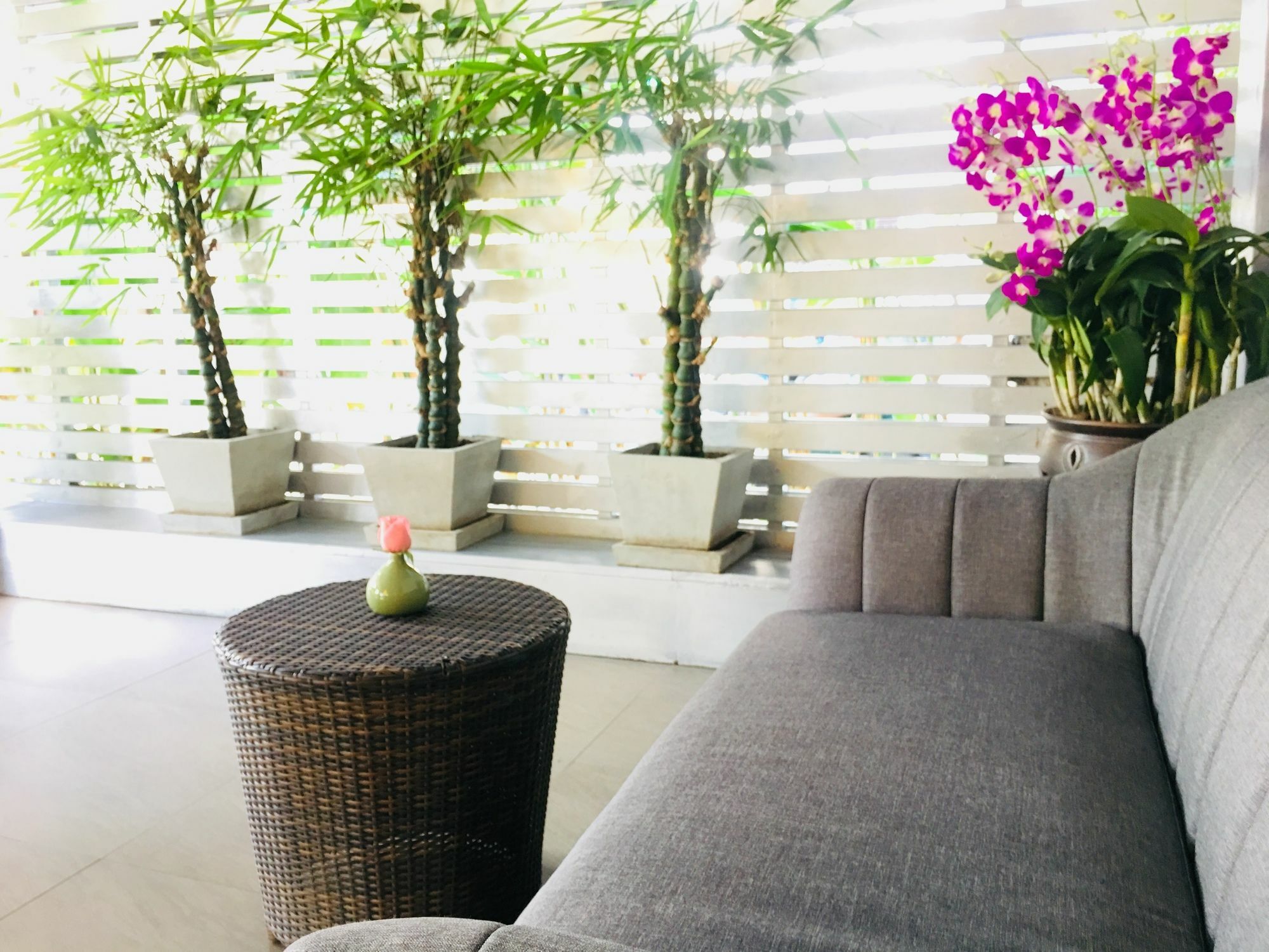 Kavil Guesthouse Chiang Mai Exterior photo